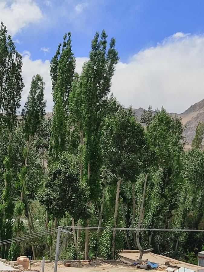 Paradise Leh Residency Kültér fotó